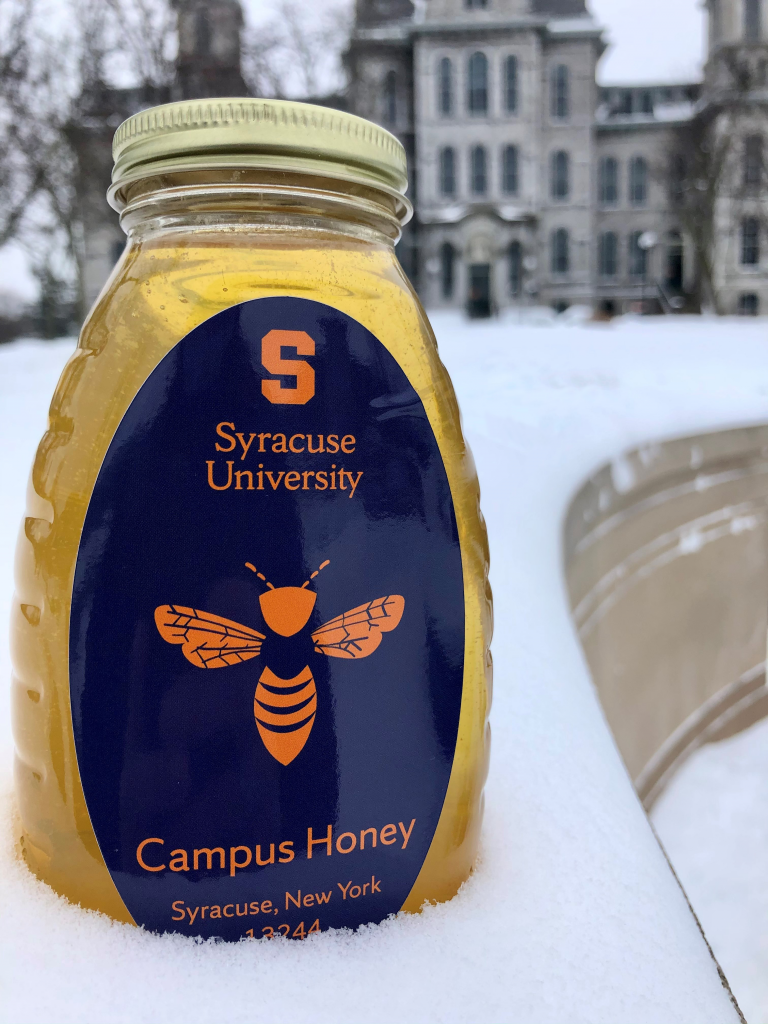 Syracuse University honey sitting in the snow outside of the flagship building, the Hall of Languages.