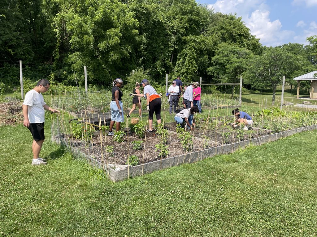 Volunteers working in Pete's Giving on a day in July.